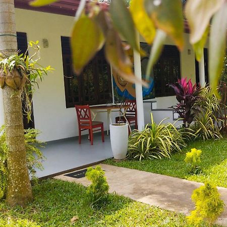 탕갈레 Eco Nest Marakolliya B&B 외부 사진