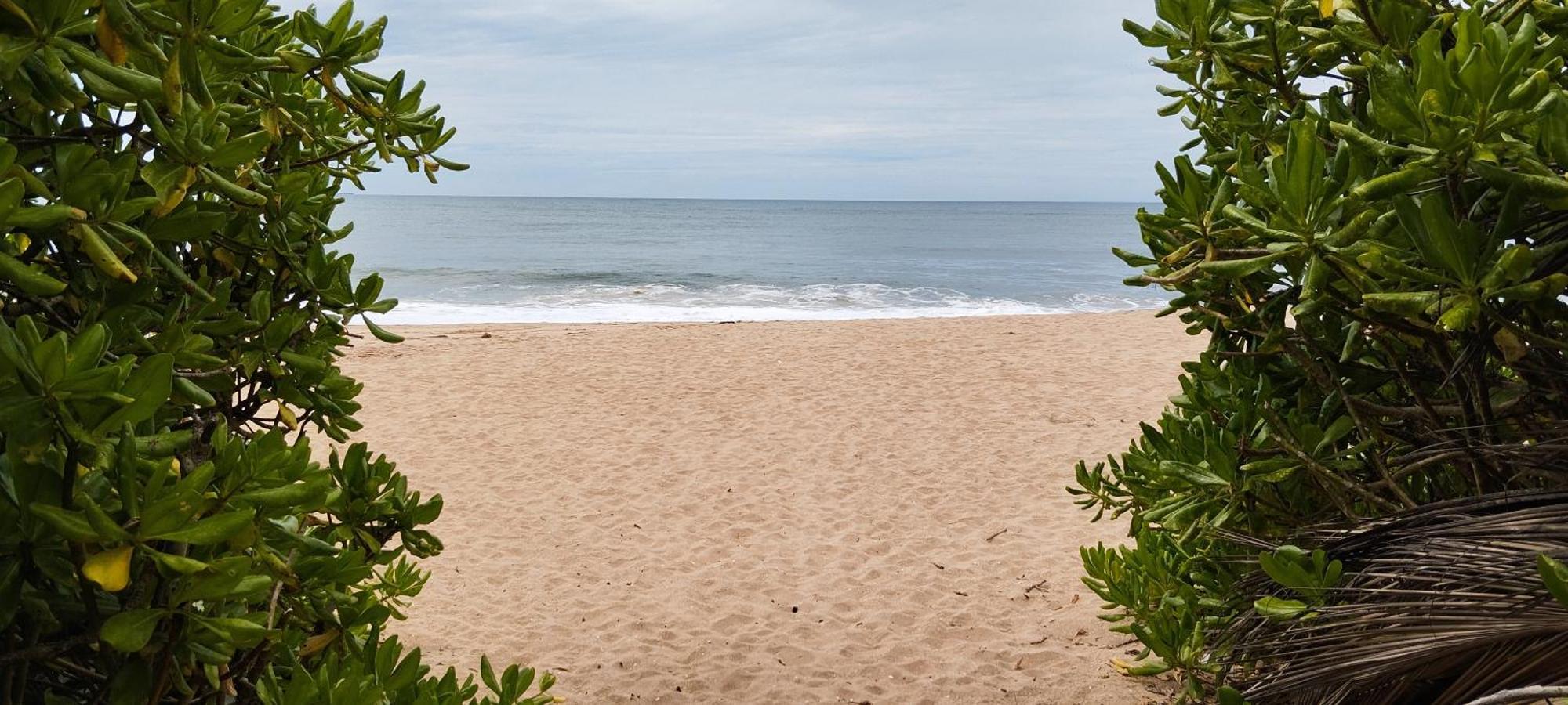 탕갈레 Eco Nest Marakolliya B&B 외부 사진