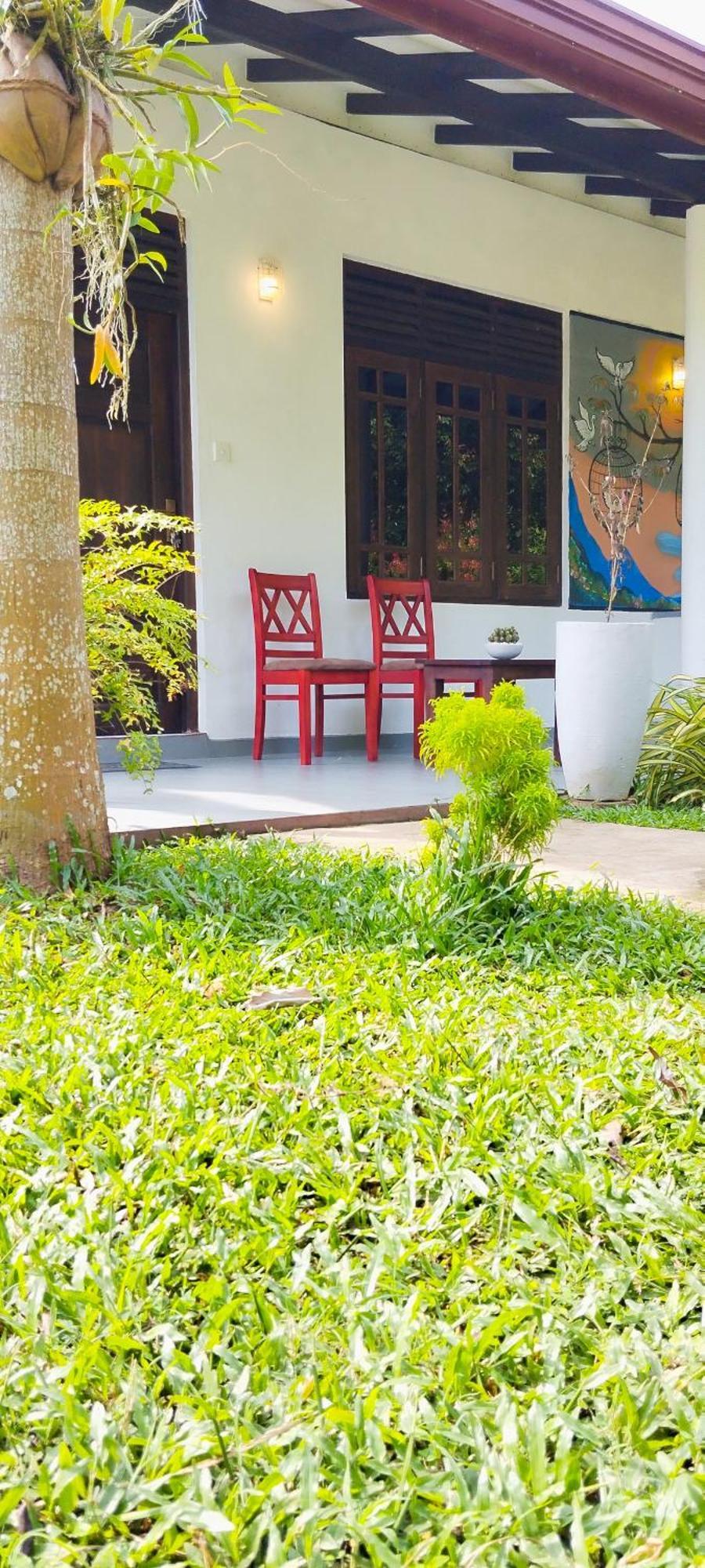 탕갈레 Eco Nest Marakolliya B&B 외부 사진